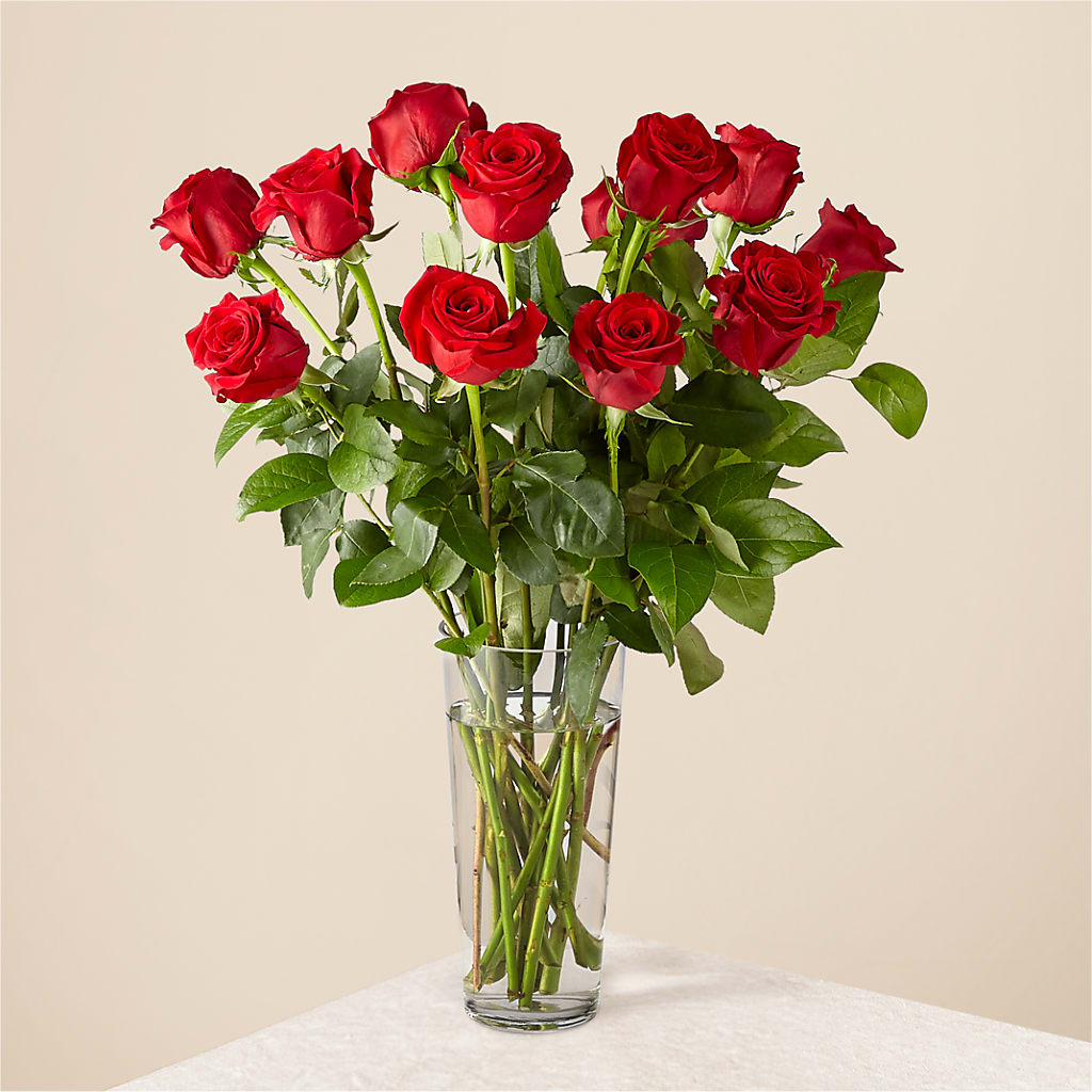 Long Stem Red Rose Bouquet – BUSSE AND RIECK FLOWERS PLANTS & GIFTS, Kankakee IL