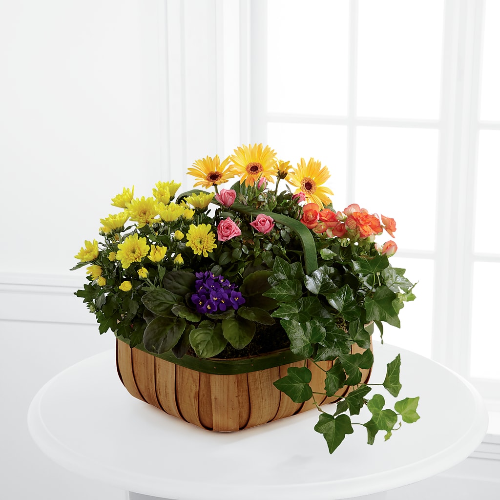 Gentle Blossoms Basket – BUSSE AND RIECK FLOWERS PLANTS & GIFTS, Kankakee IL