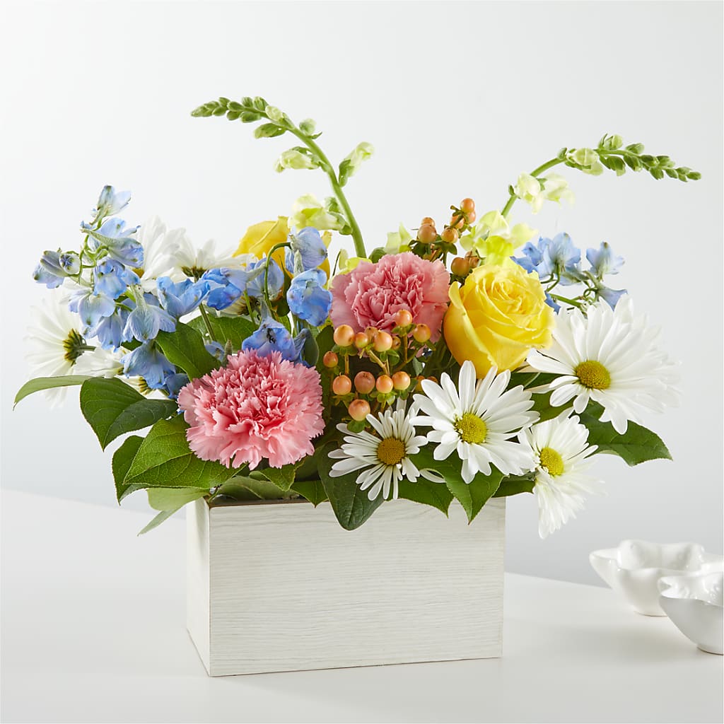 Sun Salutation Box Bouquet – BUSSE AND RIECK FLOWERS PLANTS & GIFTS, Kankakee IL