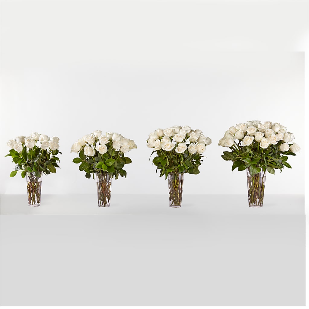 Long Stem White Rose Bouquet – BUSSE AND RIECK FLOWERS PLANTS & GIFTS, Kankakee IL