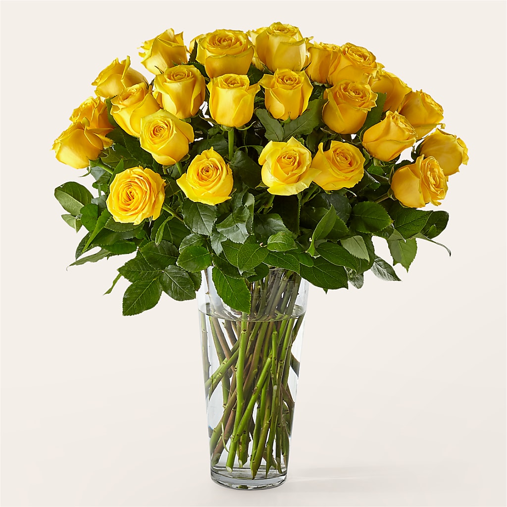 Long Stem Yellow Rose Bouquet – BUSSE AND RIECK FLOWERS PLANTS & GIFTS, Kankakee IL