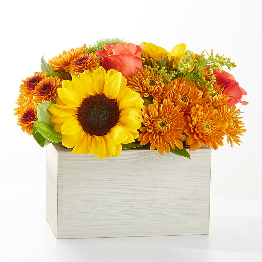 Farmer’s Market Stroll Bouquet – BUSSE AND RIECK FLOWERS PLANTS & GIFTS, Kankakee IL