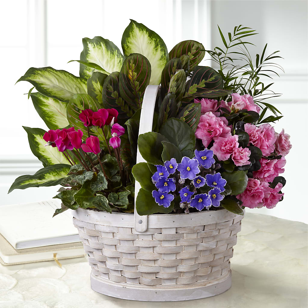 Peaceful Garden Planter – BUSSE AND RIECK FLOWERS PLANTS & GIFTS, Kankakee IL