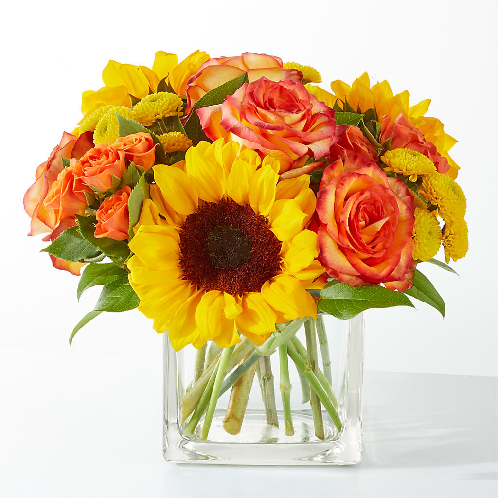 Picnic in the Park Bouquet – BUSSE AND RIECK FLOWERS PLANTS & GIFTS, Kankakee IL