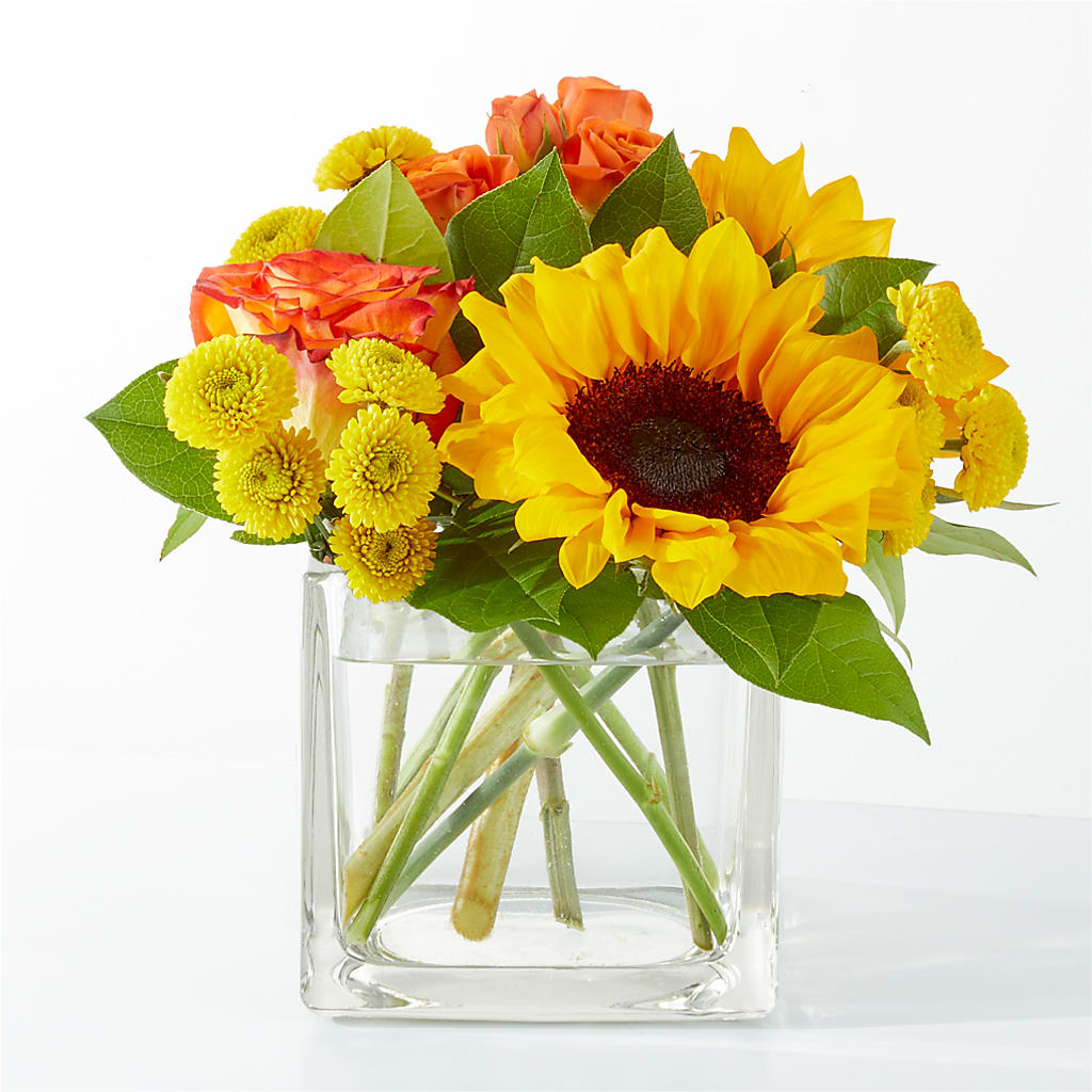 Picnic in the Park Bouquet – BUSSE AND RIECK FLOWERS PLANTS & GIFTS, Kankakee IL
