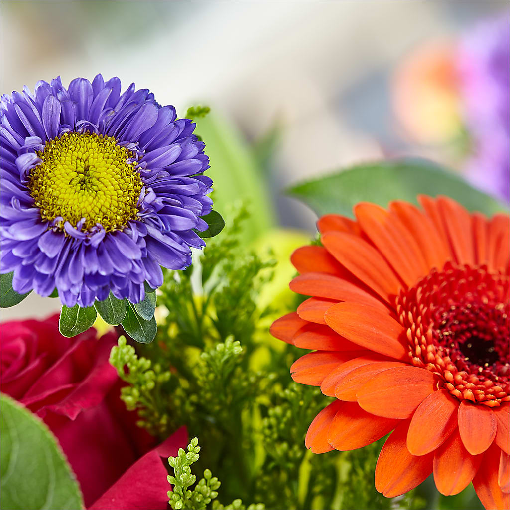 Bold & Bright – A Florist Original – BUSSE AND RIECK FLOWERS PLANTS & GIFTS, Kankakee IL