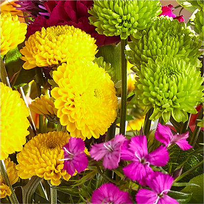 Bold & Bright – A Florist Original – BUSSE AND RIECK FLOWERS PLANTS & GIFTS, Kankakee IL