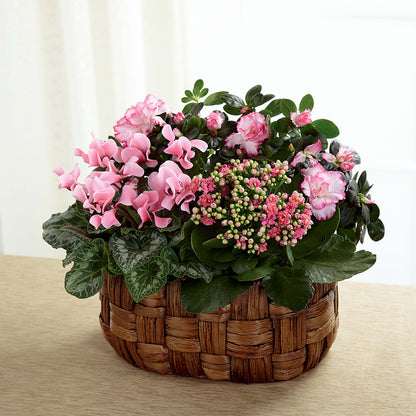 Pink Assortment – BUSSE AND RIECK FLOWERS PLANTS & GIFTS, Kankakee IL