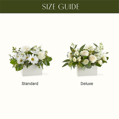 Fresh Linen Box Bouquet – BUSSE AND RIECK FLOWERS PLANTS & GIFTS, Kankakee IL