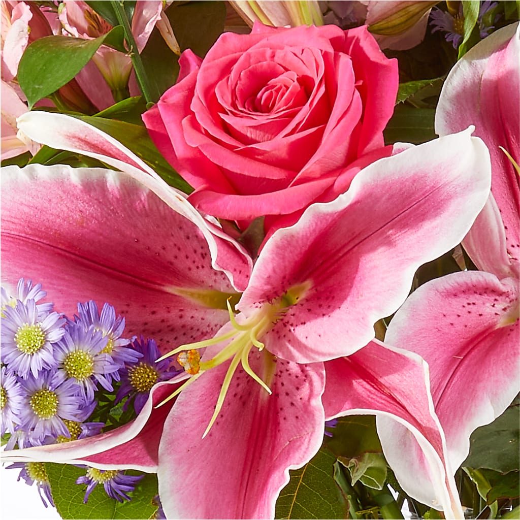 Written in the Stars Bouquet – BUSSE AND RIECK FLOWERS PLANTS & GIFTS, Kankakee IL