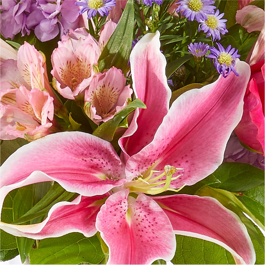 Written in the Stars Bouquet – BUSSE AND RIECK FLOWERS PLANTS & GIFTS, Kankakee IL