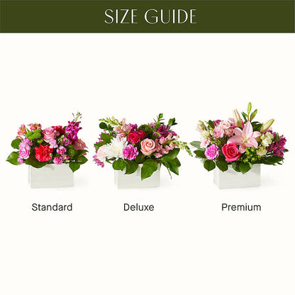 Sweetberry Box – A Florist Original – BUSSE AND RIECK FLOWERS PLANTS & GIFTS, Kankakee IL