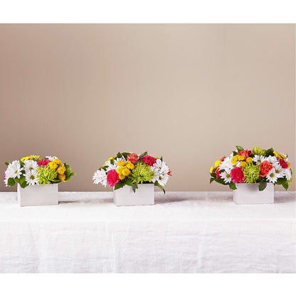 Sorbet Bouquet – BUSSE AND RIECK FLOWERS PLANTS & GIFTS, Kankakee IL