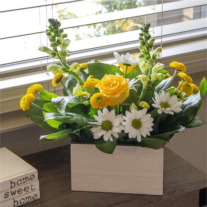 Sun Salutation Box Bouquet – BUSSE AND RIECK FLOWERS PLANTS & GIFTS, Kankakee IL