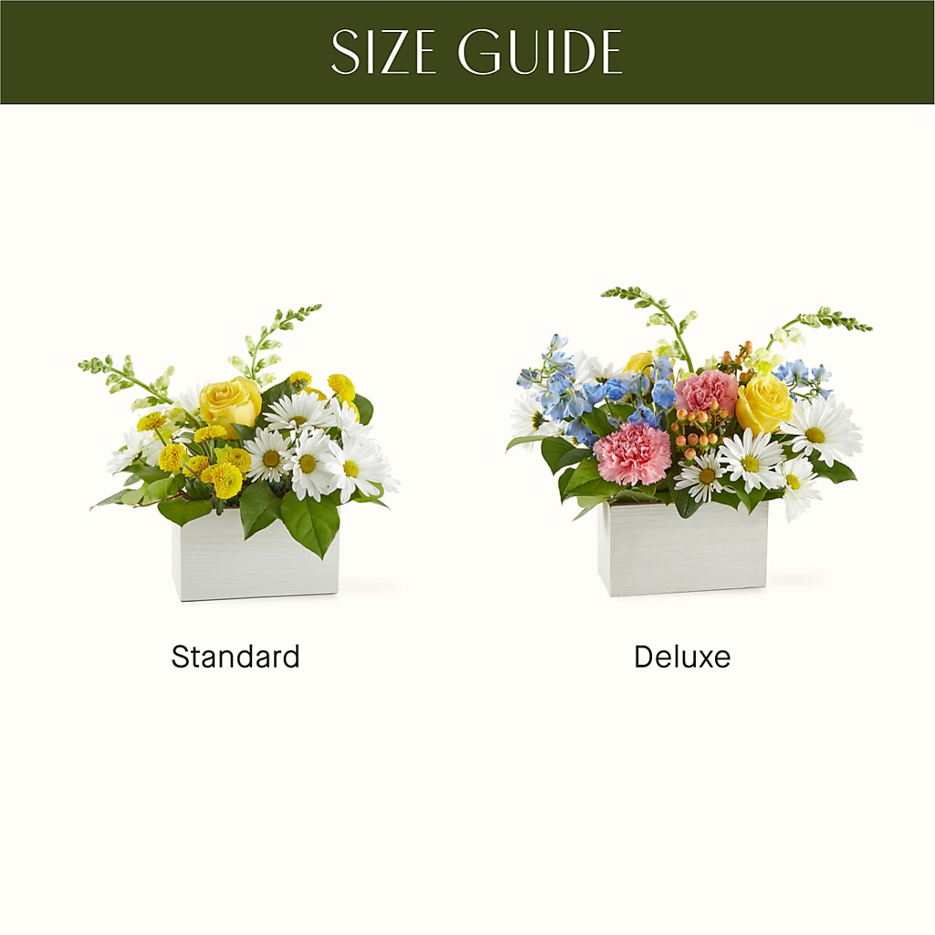 Sun Salutation Box Bouquet – BUSSE AND RIECK FLOWERS PLANTS & GIFTS, Kankakee IL