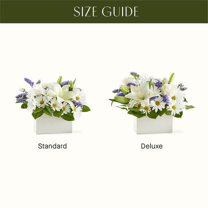 Beyond Blue Box Bouquet – BUSSE AND RIECK FLOWERS PLANTS & GIFTS, Kankakee IL