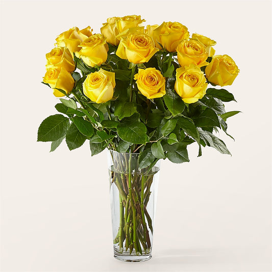 Long Stem Yellow Rose Bouquet – BUSSE AND RIECK FLOWERS PLANTS & GIFTS, Kankakee IL