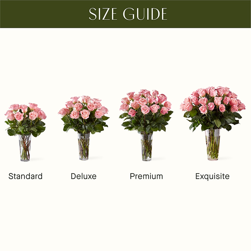Long Stem Pink Rose Bouquet – BUSSE AND RIECK FLOWERS PLANTS & GIFTS, Kankakee IL