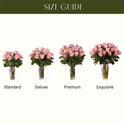 Long Stem Pink Rose Bouquet – BUSSE AND RIECK FLOWERS PLANTS & GIFTS, Kankakee IL