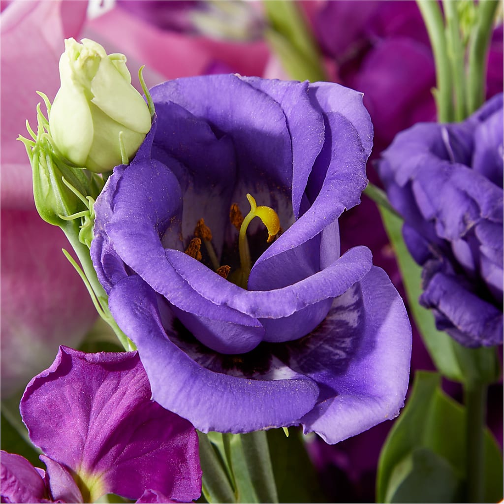 Twilight Glow Bouquet – BUSSE AND RIECK FLOWERS PLANTS & GIFTS, Kankakee IL