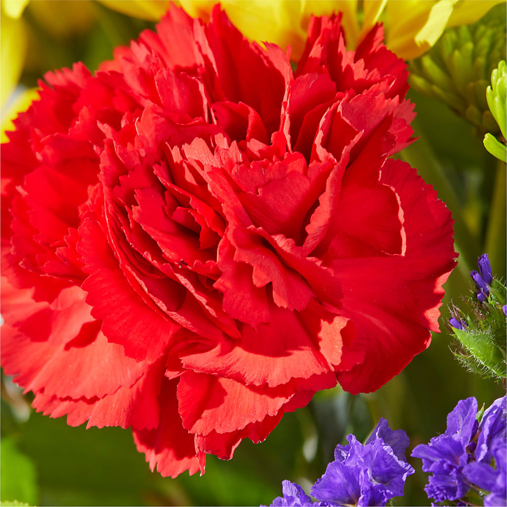 Brighter Days Bouquet – BUSSE AND RIECK FLOWERS PLANTS & GIFTS, Kankakee IL