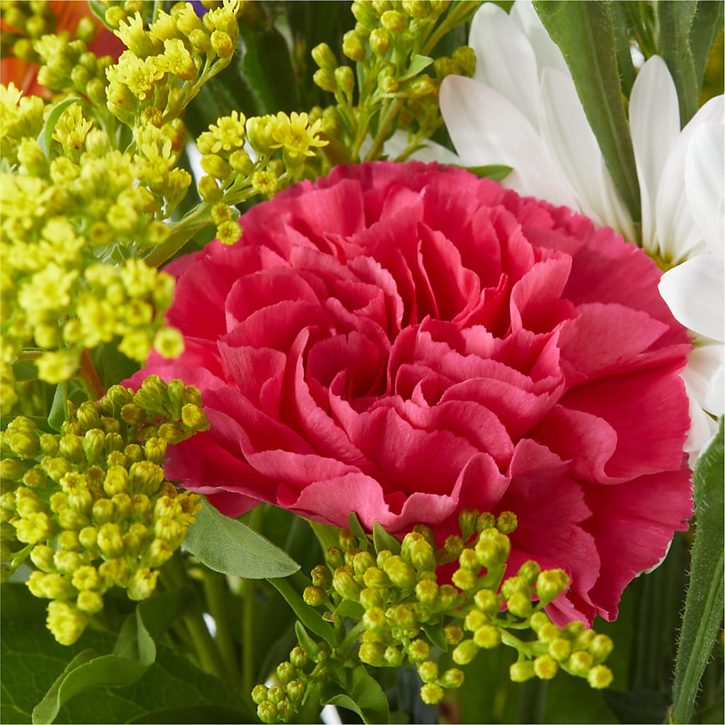 Oopsie Daisy Bouquet – BUSSE AND RIECK FLOWERS PLANTS & GIFTS, Kankakee IL