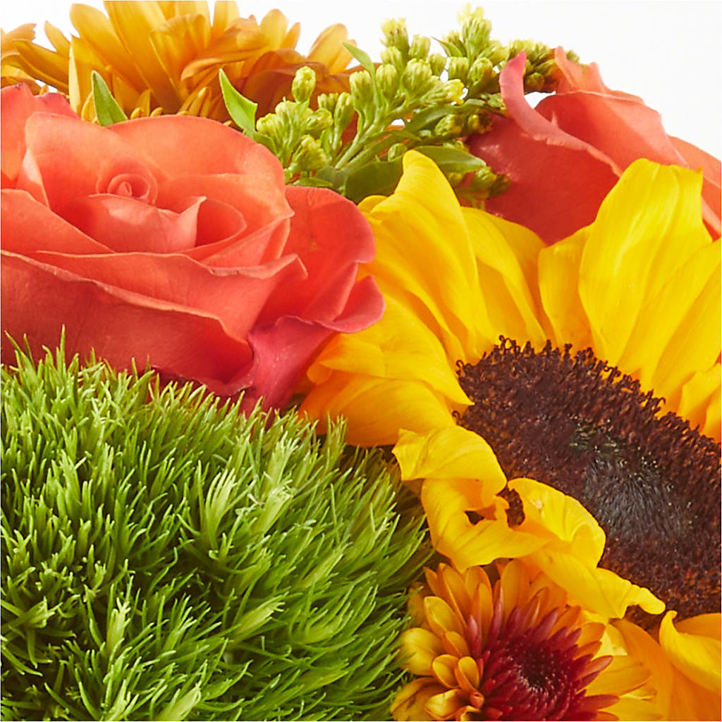 Farmer’s Market Stroll Bouquet – BUSSE AND RIECK FLOWERS PLANTS & GIFTS, Kankakee IL