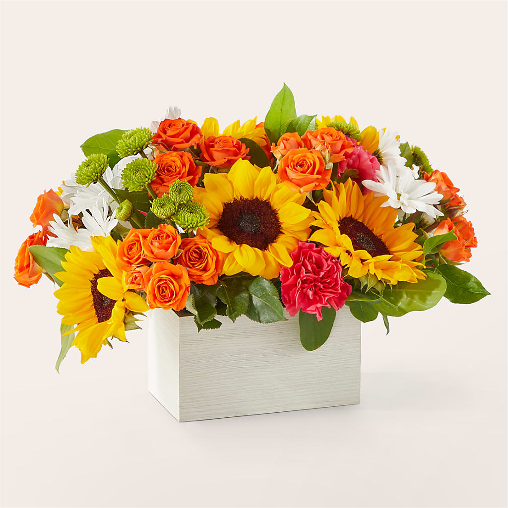Sun-drenched Blooms Box Bouquet – BUSSE AND RIECK FLOWERS PLANTS & GIFTS, Kankakee IL