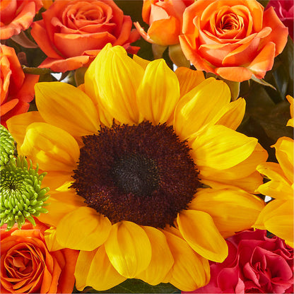 Sun-drenched Blooms Box Bouquet – BUSSE AND RIECK FLOWERS PLANTS & GIFTS, Kankakee IL