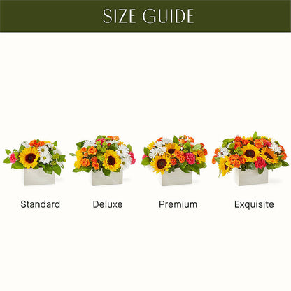 Sun-drenched Blooms Box Bouquet – BUSSE AND RIECK FLOWERS PLANTS & GIFTS, Kankakee IL