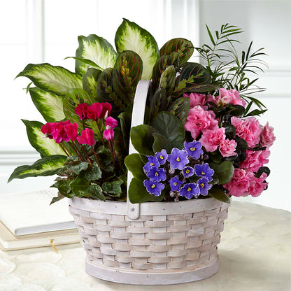 Peaceful Garden Planter – BUSSE AND RIECK FLOWERS PLANTS & GIFTS, Kankakee IL