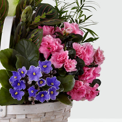 Peaceful Garden Planter – BUSSE AND RIECK FLOWERS PLANTS & GIFTS, Kankakee IL
