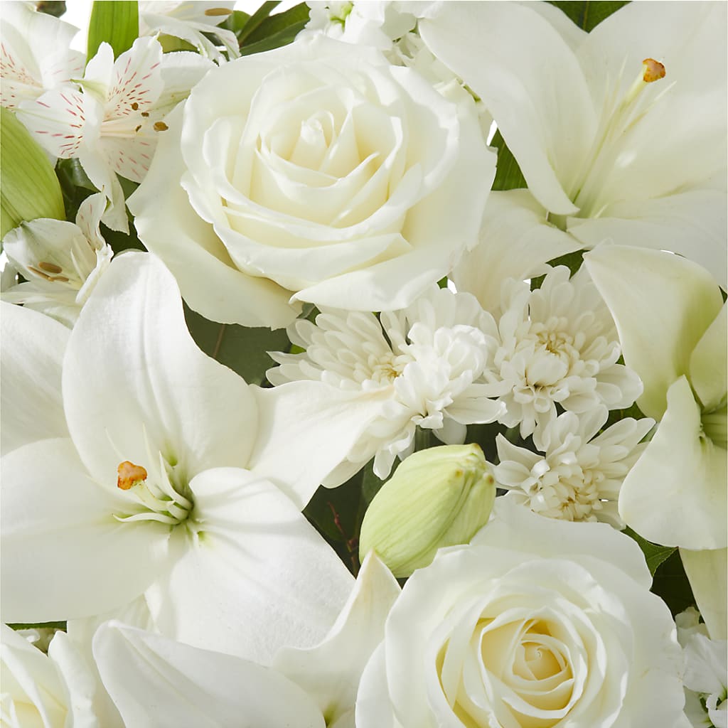 Peaceful Reflections Arrangement – BUSSE AND RIECK FLOWERS PLANTS & GIFTS, Kankakee IL