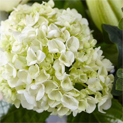 Classic Ivory – A Florist Original – BUSSE AND RIECK FLOWERS PLANTS & GIFTS, Kankakee IL