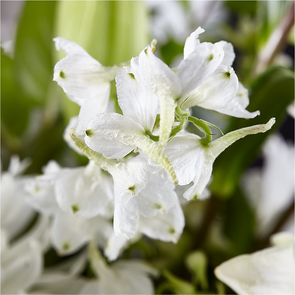 Classic Ivory – A Florist Original – BUSSE AND RIECK FLOWERS PLANTS & GIFTS, Kankakee IL