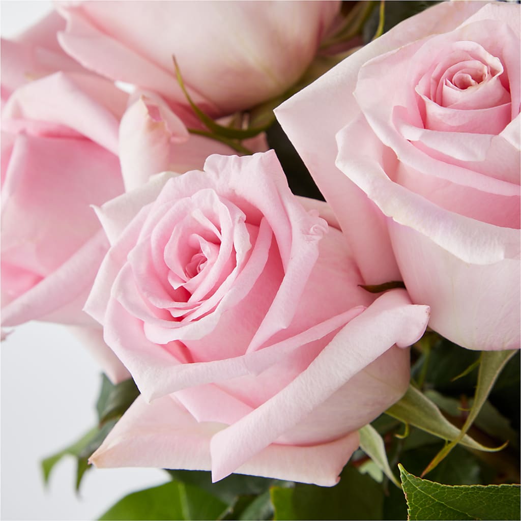 Picture Perfect Pink Rose Bouquet – BUSSE AND RIECK FLOWERS PLANTS & GIFTS, Kankakee IL