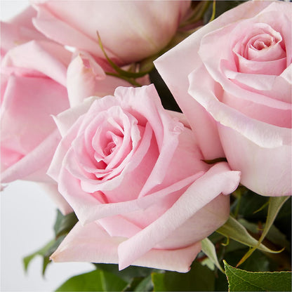 Picture Perfect Pink Rose Bouquet – BUSSE AND RIECK FLOWERS PLANTS & GIFTS, Kankakee IL