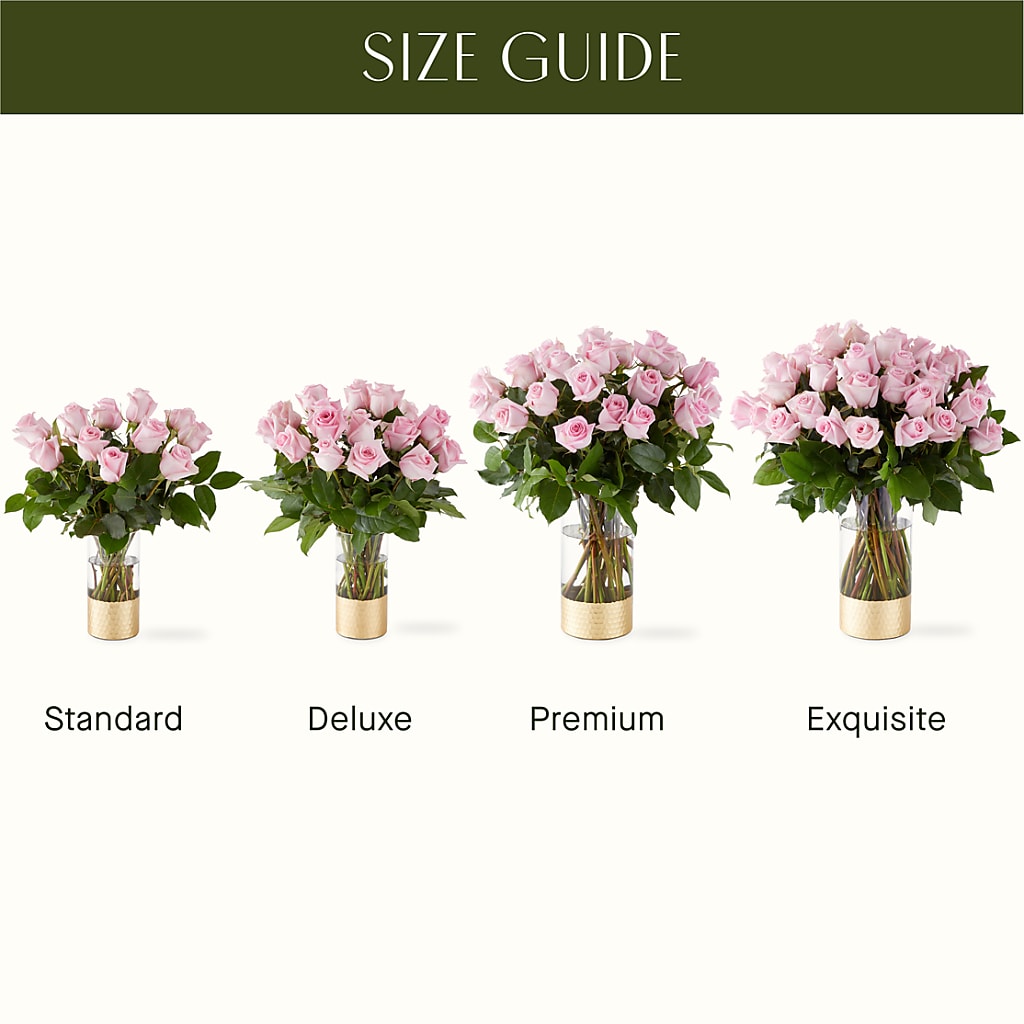 Picture Perfect Pink Rose Bouquet – BUSSE AND RIECK FLOWERS PLANTS & GIFTS, Kankakee IL