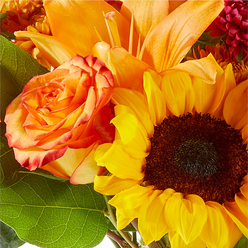 Fall Day Bouquet – BUSSE AND RIECK FLOWERS PLANTS & GIFTS, Kankakee IL
