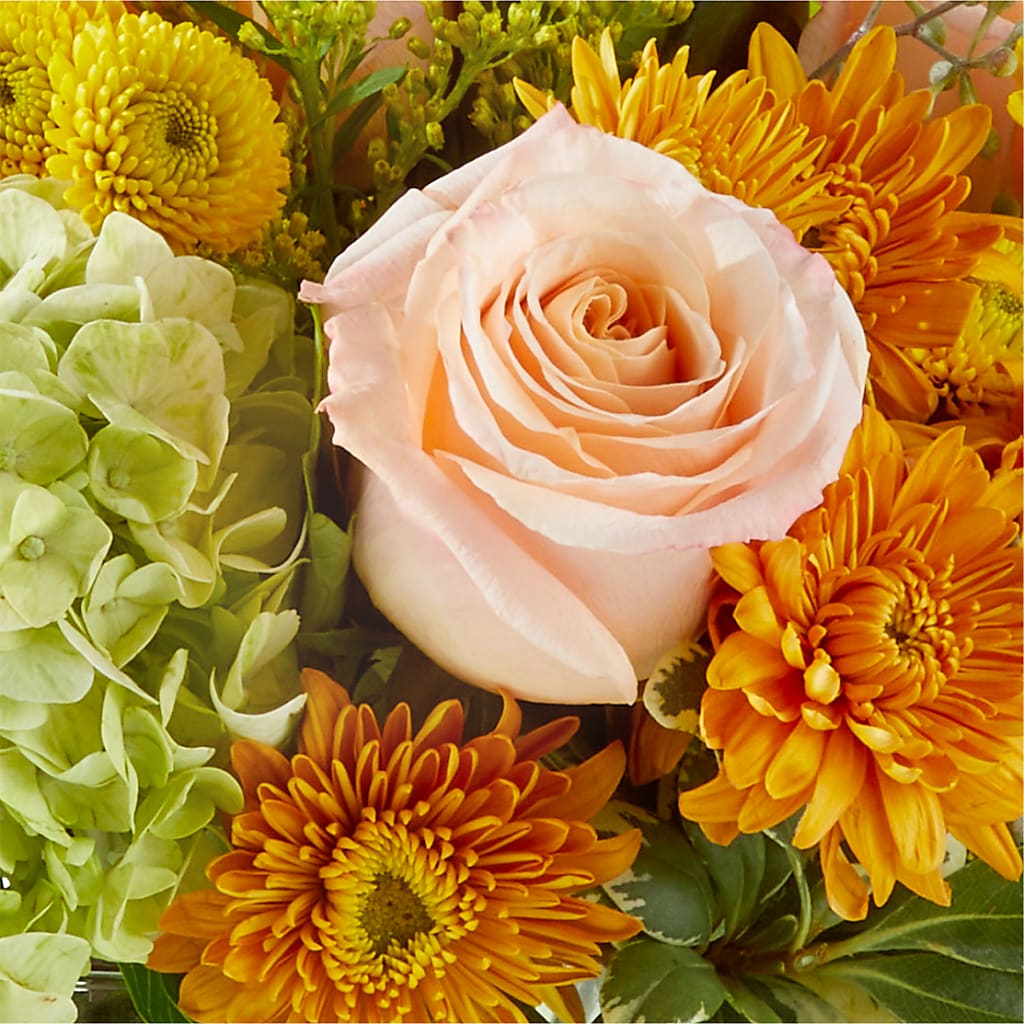 Fall Foliage Bouquet – BUSSE AND RIECK FLOWERS PLANTS & GIFTS, Kankakee IL