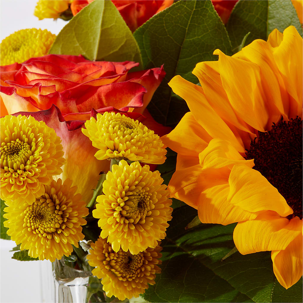 Picnic in the Park Bouquet – BUSSE AND RIECK FLOWERS PLANTS & GIFTS, Kankakee IL