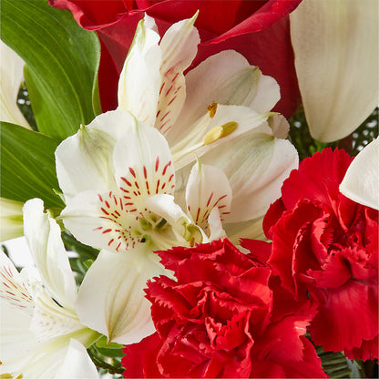 Holiday Season Bouquet – BUSSE AND RIECK FLOWERS PLANTS & GIFTS, Kankakee IL