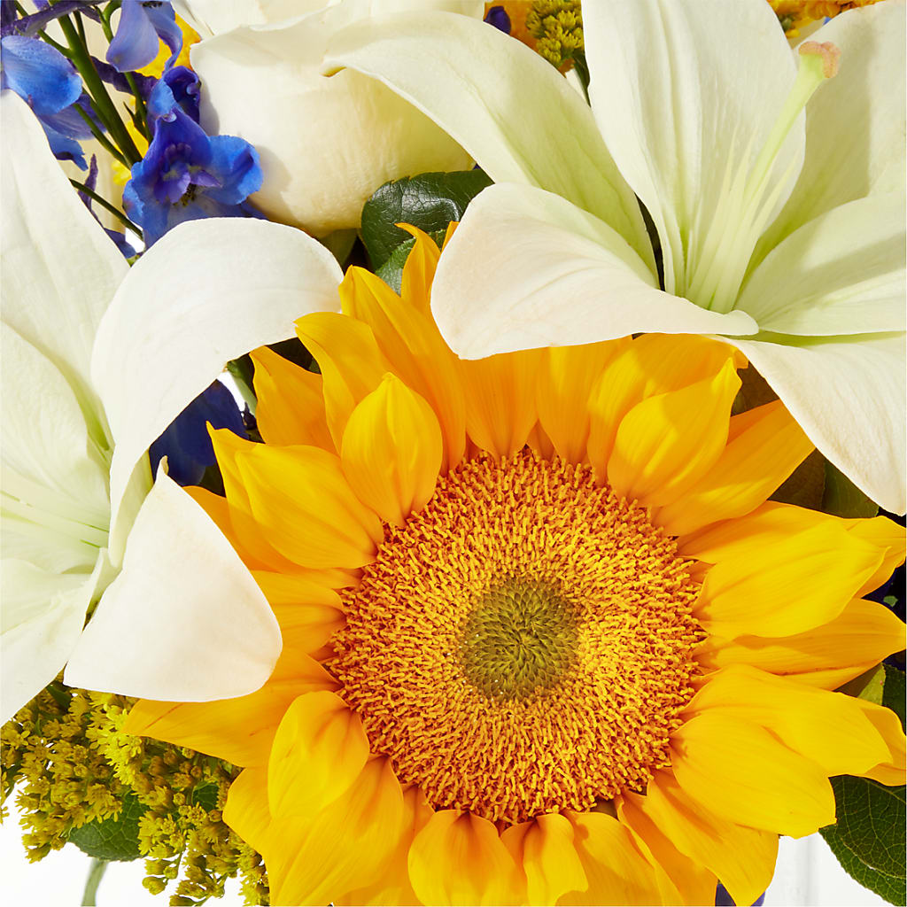 Stargazing Bouquet – BUSSE AND RIECK FLOWERS PLANTS & GIFTS, Kankakee IL