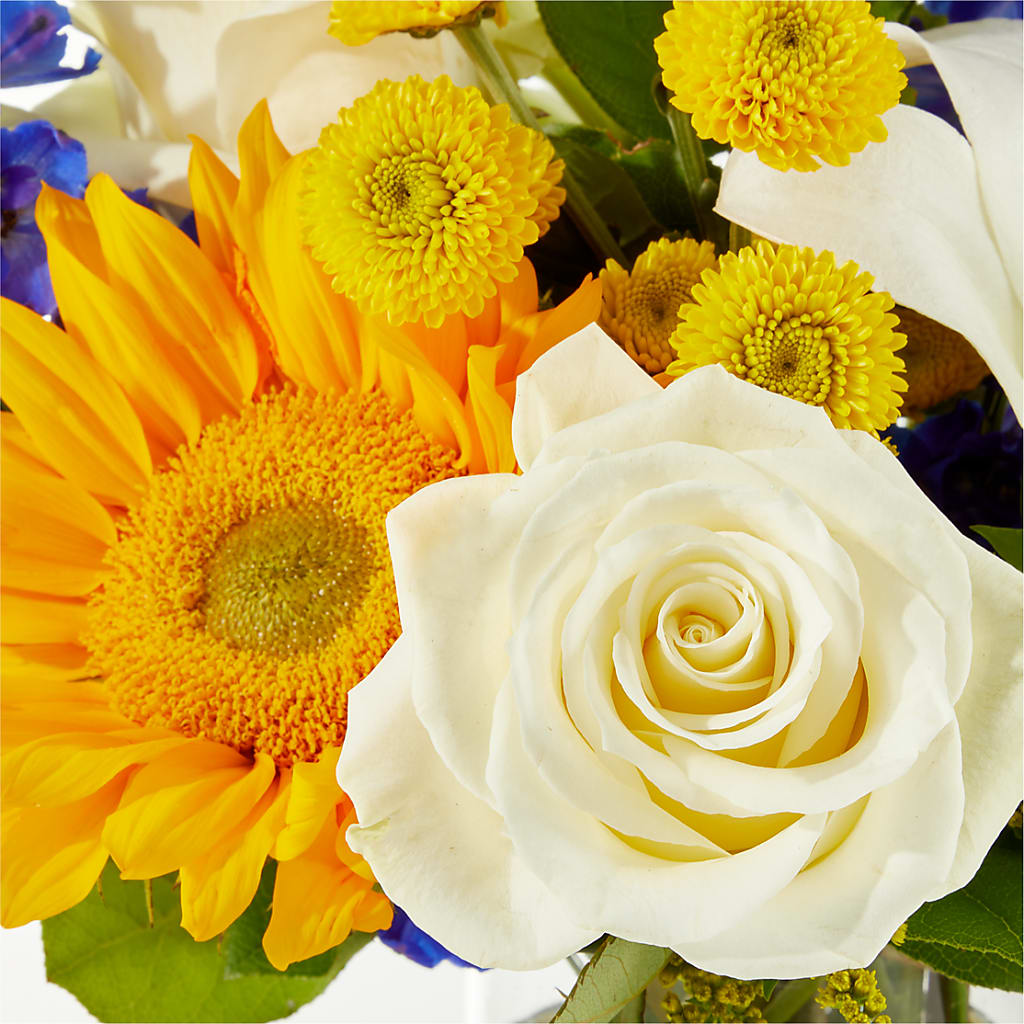 Stargazing Bouquet – BUSSE AND RIECK FLOWERS PLANTS & GIFTS, Kankakee IL
