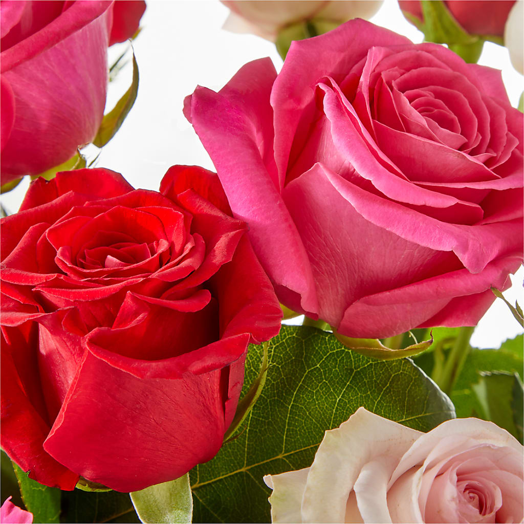 Charming Rose Bouquet – BUSSE AND RIECK FLOWERS PLANTS & GIFTS, Kankakee IL
