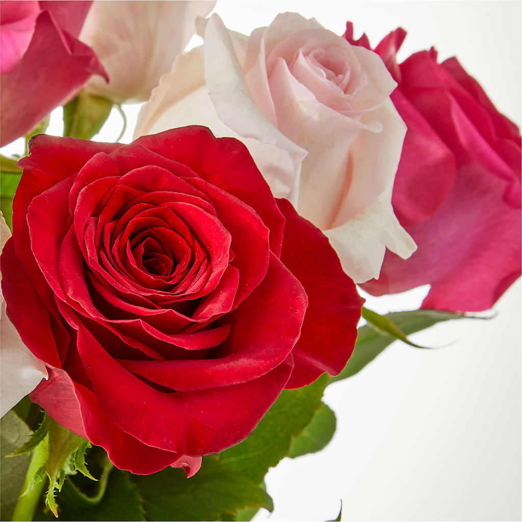 Charming Rose Bouquet – BUSSE AND RIECK FLOWERS PLANTS & GIFTS, Kankakee IL