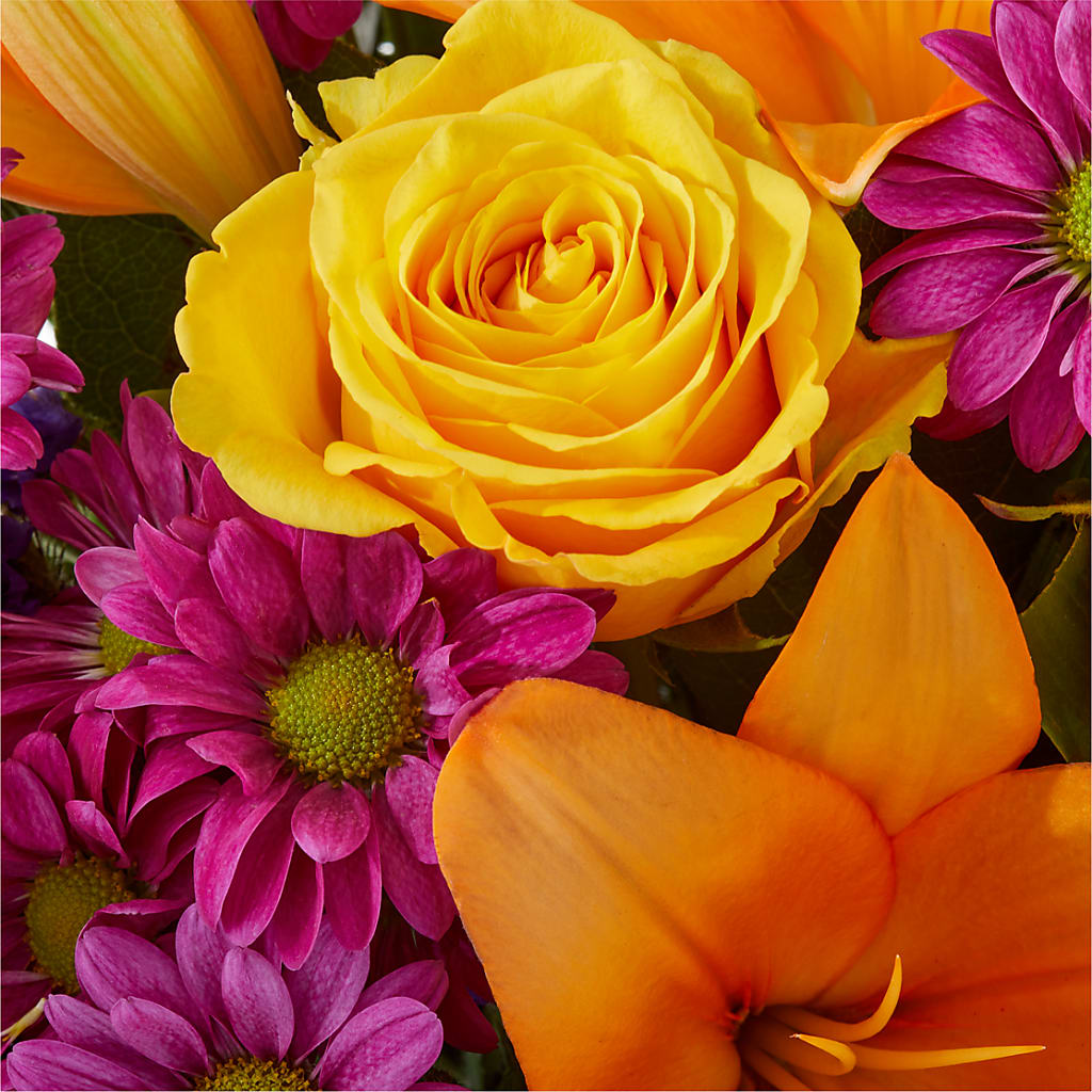 Colorful Visions Bouquet – BUSSE AND RIECK FLOWERS PLANTS & GIFTS, Kankakee IL