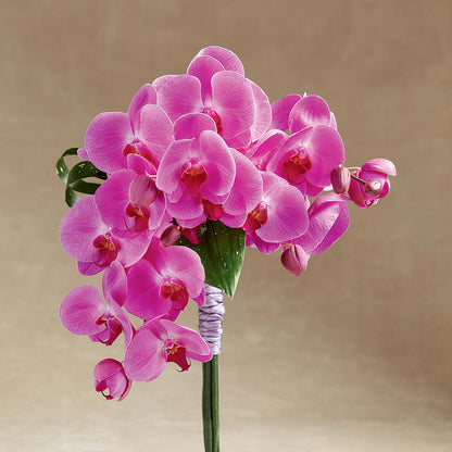 Glorious Bouquet – BUSSE AND RIECK FLOWERS PLANTS & GIFTS, Kankakee IL