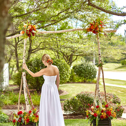 Arbor of Love Archway – BUSSE AND RIECK FLOWERS PLANTS & GIFTS, Kankakee IL