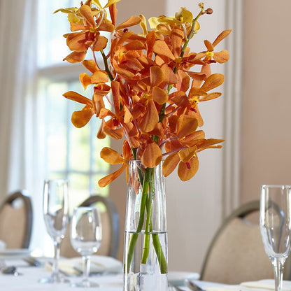 Orange Mokara Bud Vase – BUSSE AND RIECK FLOWERS PLANTS & GIFTS, Kankakee IL